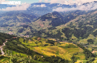 Khám phá mùa lúa chín yên bình ở bản Háng Đăng Dê, Lào Cai