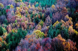 EU đạt thỏa thuận về mục tiêu khí hậu mới trước thềm COP30