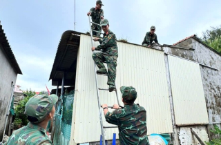 Người dân tất bật chằng chống nhà cửa, đưa tàu lên bờ, gặt lúa 'chạy' bão số 13