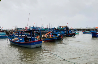 Dân Quảng Ngãi thuê khách sạn tránh bão, Đà Nẵng cấm người lên Sơn Trà