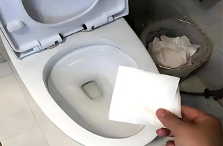 Nên cho giấy vệ sinh vào bồn cầu hay thùng rác?