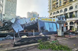 Gia Lai tan hoang sau bão Kalmaegi: Nhà tốc mái đổ sập, cây bật gốc hàng loạt