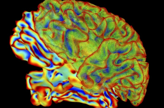 Công nghệ đột phá: Trí tuệ nhân tạo đọc được suy nghĩ con người