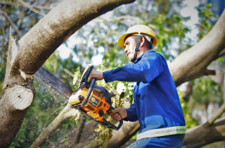 Gồng mình khắc phục hậu quả sau bão Kalmaegi