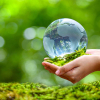 Bảo vệ môi trường - xu hướng không thể đảo ngược