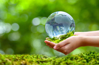 Bảo vệ môi trường - xu hướng không thể đảo ngược