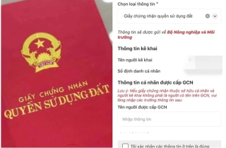 Người dân bắt đầu được nộp sổ đỏ qua VNeID, cách làm thế nào?