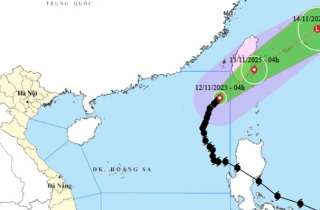 Tin bão số 14 Phượng Hoàng mới nhất: Giật cấp 11, hôm nay ra khỏi Biển Đông
