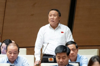 ĐBQH: Taxi, ô tô công nghệ phải trang bị ghế cho trẻ dưới 10 tuổi là bất khả thi