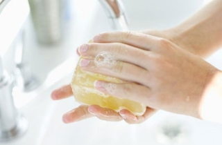 Phòng tránh ngộ độc Salmonella