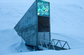 Có gì trong những căn hầm tận thế bí mật nhất hành tinh?