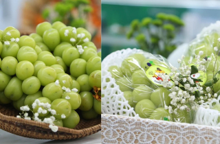 Cận cảnh loạt trái cây 'hot' bị nhái nguồn gốc, lừa người tiêu dùng