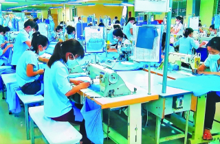 Nâng cao năng suất lao động: Bài toán sống còn của doanh nghiệp Việt Nam