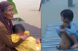 Cộng đồng mạng lên án hành vi dùng AI tạo ảnh giả về lũ miền Trung để câu view