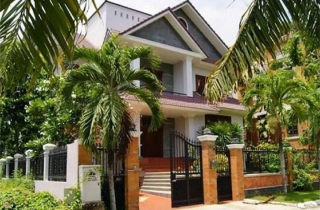 Mẹo bố trí cây cảnh đúng phong thủy từ cổng nhà tới các phòng