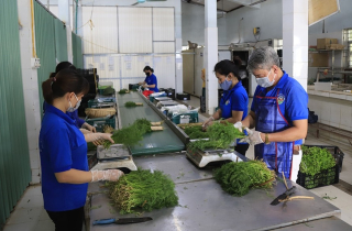 Hà Nội tăng tốc số hóa để bảo đảm an toàn thực phẩm