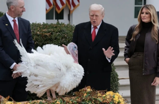 Ông Trump ân xá cho gà tây