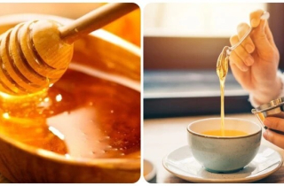 Mật ong kỵ gì và những người cần cẩn trọng khi sử dụng mật ong