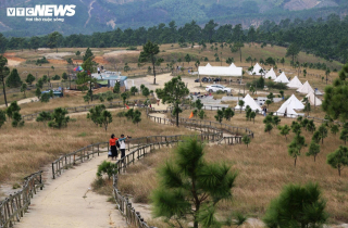 Ngắm đồi Phượng Hoàng vào mùa cỏ cháy đẹp nhất năm