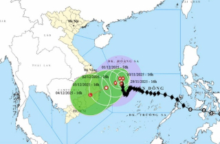 Áp thấp nhiệt đới 'dị nhất năm' tan trên biển, bão số 15 ít dịch chuyển