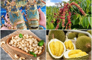 Điểm danh loạt hàng Việt Nam đạt kỷ lục xuất khẩu, nức tiếng thế giới