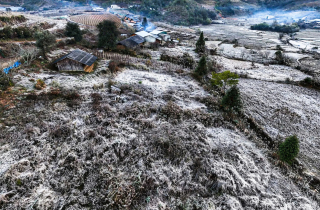 Lào Cai: Băng giá trắng xóa 'bao phủ' bản làng ở Y Tý