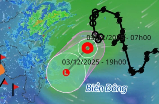 Áp thấp nhiệt đới hướng về vùng biển Đắk Lắk - Khánh Hòa, trong hôm nay suy yếu