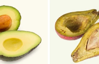 Có nên ăn phần thịt quả bơ đã chuyển sang màu nâu?