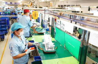 Bức tranh sáng của kinh tế Việt Nam