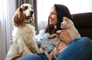 Kinh nghiệm nuôi mèo ở chung cư để mèo khỏe, hàng xóm vui