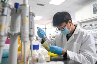 Cách Trung Quốc thu hút các tinh hoa khoa học về nước