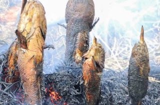 Khám phá hương vị ẩm thực giàu bản sắc ở miền Tây Nam Bộ