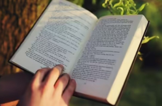 7 sở thích giúp giảm căng thẳng và cải thiện sức khỏe tinh thần