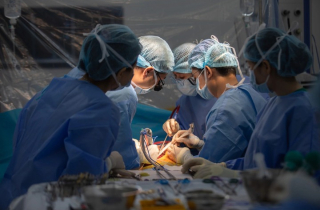 Xuyên đêm ghép gan cứu bệnh nhân hôn mê sâu