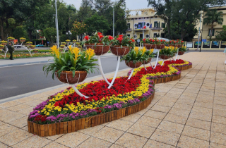 Hà Nội: Rực rỡ cây hoa và chiếu sáng phục vụ Tết Dương lịch 2026