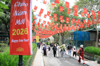 Bắc Bộ có mưa vài nơi, rét đậm, rét hại