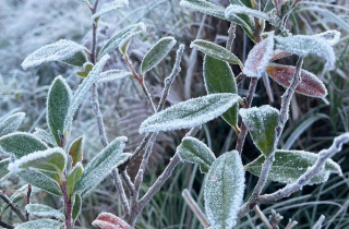 Tin không khí lạnh: Hà Nội rét đậm 10°C, vùng núi cao Bắc Bộ đề phòng băng giá