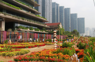 Sắc xuân ngập tràn từ vườn hoa ga Ba Son đến bờ sông Sài Gòn