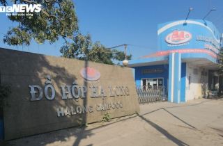 130 tấn thịt lợn bệnh được 'phù phép' làm thịt hộp: Tỉnh Quảng Ninh lên tiếng