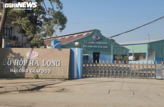 Vụ 130 tấn thịt heo bệnh bị biến thành đồ hộp ở Hải Phòng: Danh tính 9 bị can