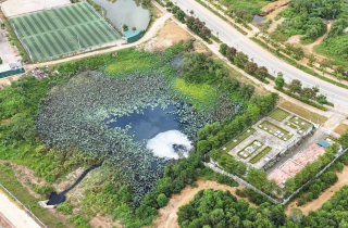 Giải pháp cấp bách bảo vệ môi trường