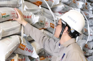 PVFCCo - Phú Mỹ (DPM) đặt kế hoạch tăng trưởng hai chữ số năm 2026