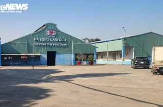 Vì sao Tổng giám đốc Công ty Cổ phần Đồ hộp Hạ Long bị bắt?