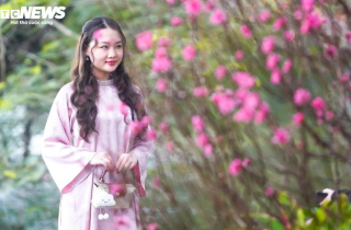 Chi tiết lịch nghỉ Tết Nguyên đán Bính Ngọ và các kỳ nghỉ dài trong năm 2026