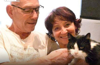 Kỳ tích chú mèo vượt 250km từ Tây Ban Nha tìm đường về Pháp sau 5 tháng mất tích