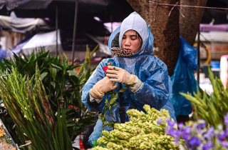 Dự báo thời tiết 10 ngày tới: Miền Bắc rét kéo dài, nhiều nơi mưa phùn