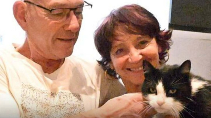 Kỳ tích chú mèo vượt 250km từ Tây Ban Nha tìm đường về Pháp sau 5 tháng mất tích