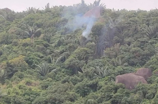 Rơi máy bay quân sự ở Đắk Lắk, phi công kịp thời nhảy dù thoát nạn