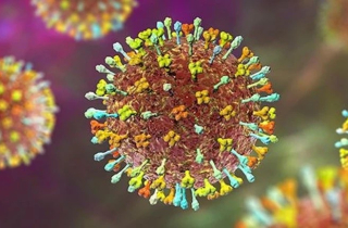 Bác sĩ chỉ dấu hiệu nhận biết và cách phòng tránh virus Nipah