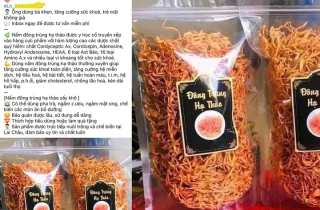 Đông trùng hạ thảo 350.000 đồng/kg: Giá rẻ bất thường, chất lượng khó kiểm soát